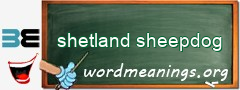WordMeaning blackboard for shetland sheepdog